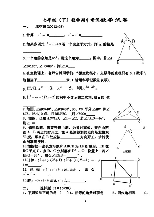 下学期 期中考试  七年级数学模拟试题