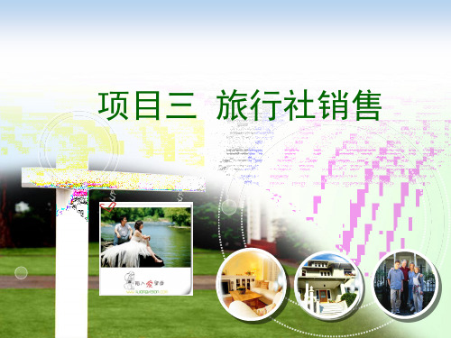 项目三旅行社销售任务二旅行社产品的销售渠道选择(第9次课)2学时