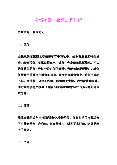 金钱龟四个繁殖过程详解