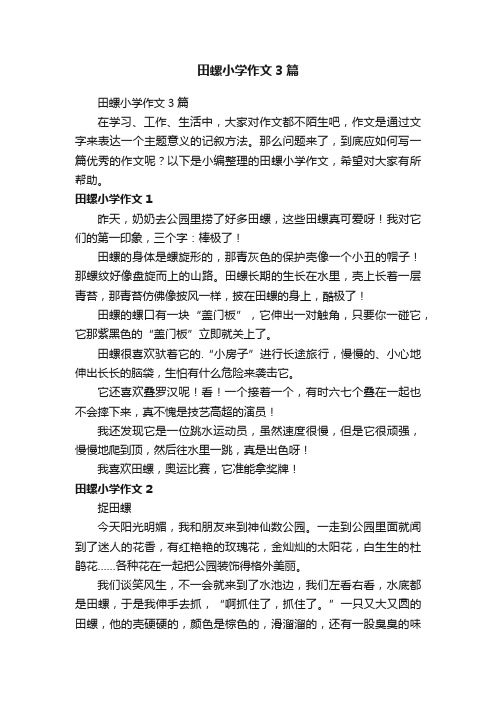 田螺小学作文3篇