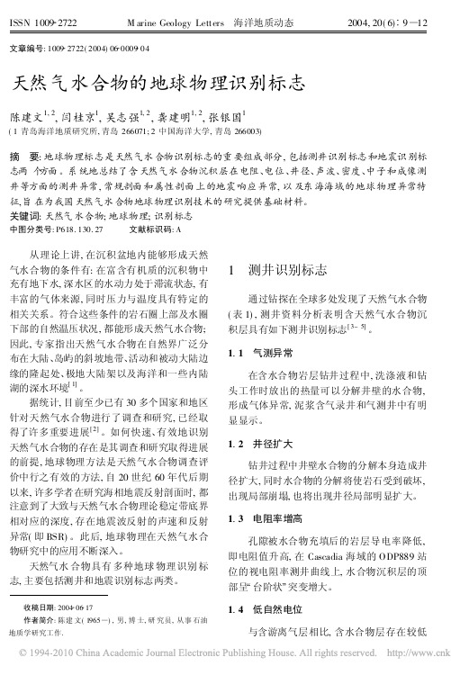 天然气水合物的地球物理识别标志