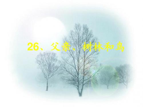 26.父亲树林和鸟