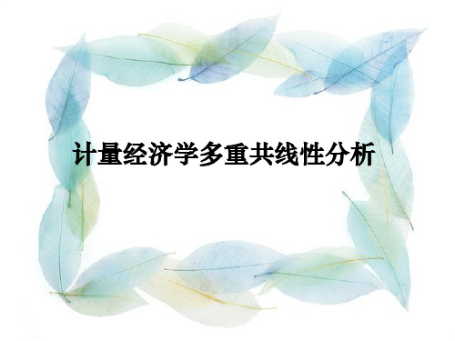 计量经济学多重共线性分析