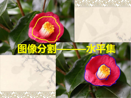 914076-计算机科学进展-图像分割