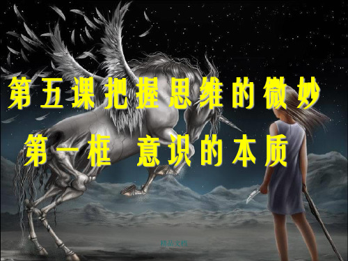 意识的本质最新最全幻灯片PPT