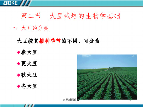 大豆栽培的生物学基础