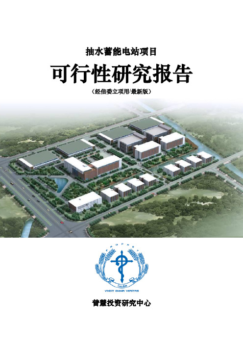 抽水蓄能电站项目可行性研究报告经信委立项用(最新版)