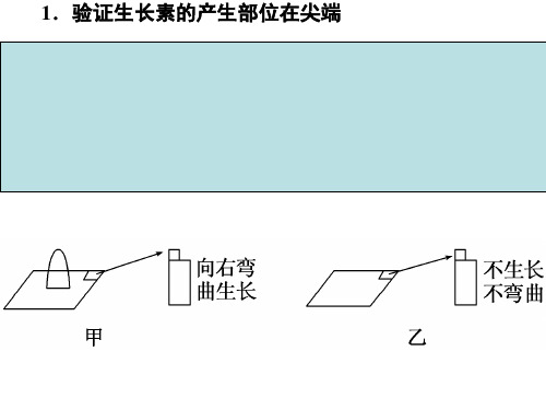 植物激素相关的实验设计 ppt课件