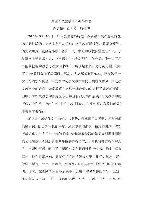 新派作文教学培训心得体会