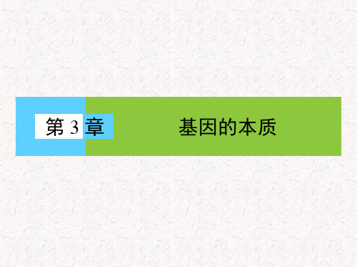 高中生物第DNA是主要遗传物质精品PPT课件