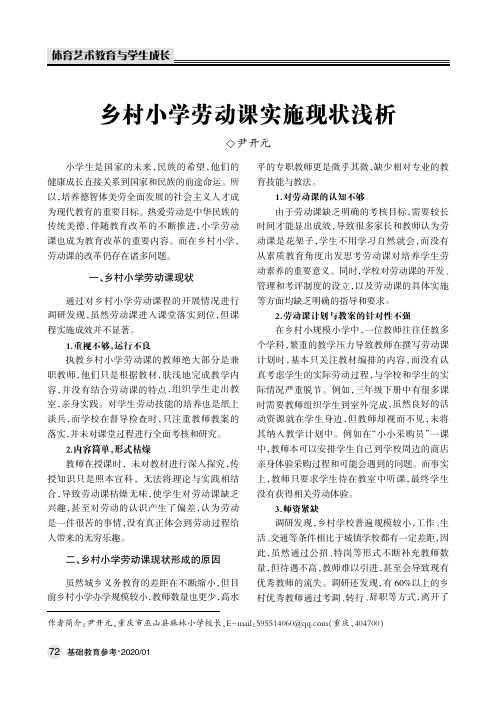 乡村小学劳动课实施现状浅析