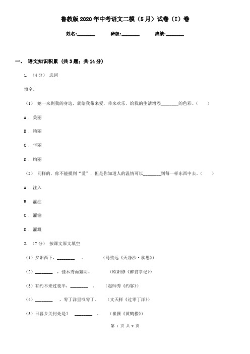 鲁教版2020年中考语文二模(5月)试卷(I)卷