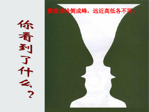 《学习选取立论的角度》ppt课件