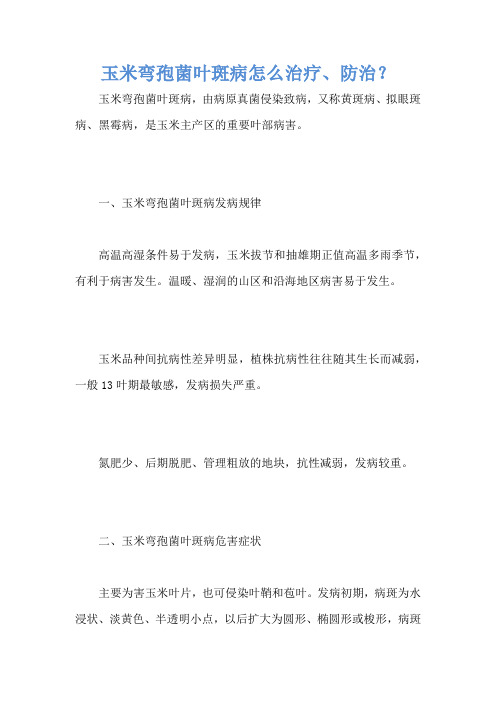 玉米弯孢菌叶斑病怎么治疗、防治？