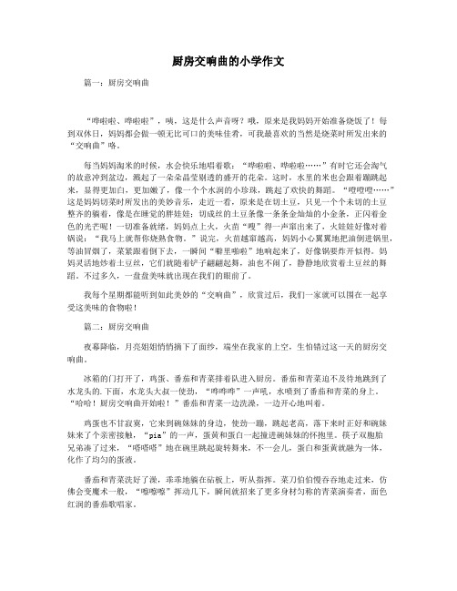 厨房交响曲的小学作文