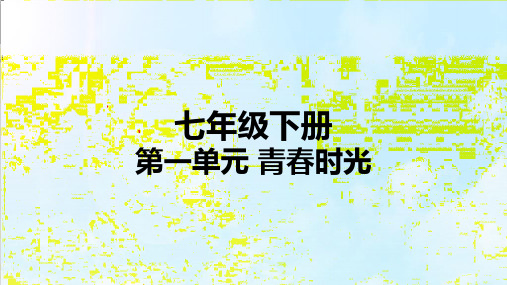 人教部编版七下道德与法治全册中考复习