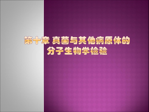 真菌与其他病原体的分子生物学检验