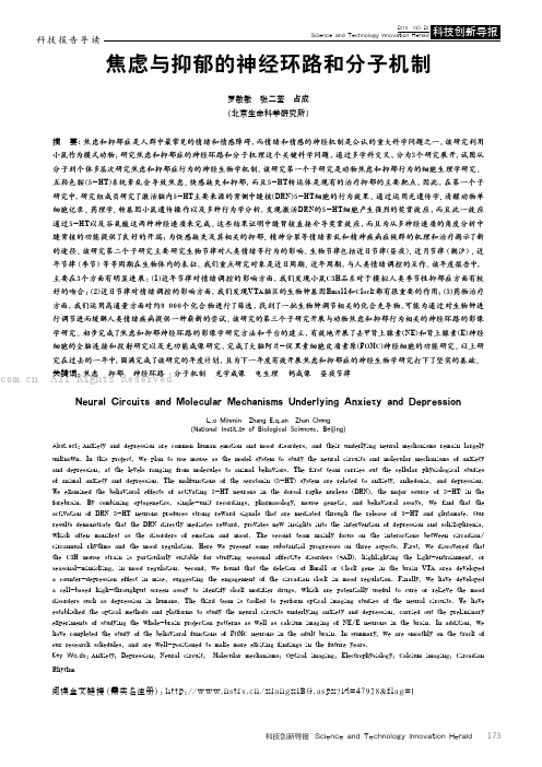 焦虑与抑郁的神经环路和分子机制