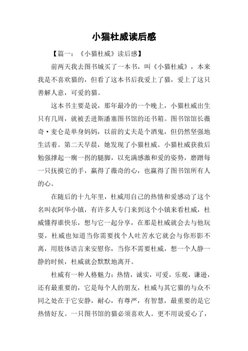 小猫杜威读后感