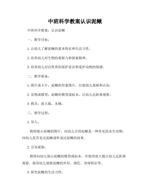 中班科学教案认识泥鳅