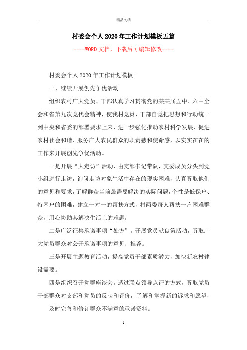 村委会个人2020年工作计划模板五篇