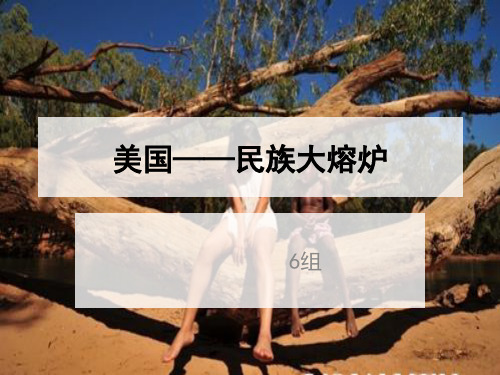 美国——民族大熔炉解析