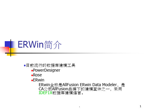 ERWin详细使用教程