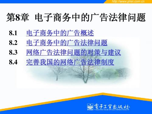 第8章 电子商务中的广告法律问题