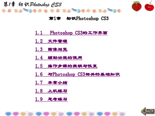 精品文档-Photoshop CS3实用案例教程(曲威)-第1章