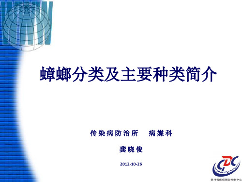 蟑螂主要种类简介