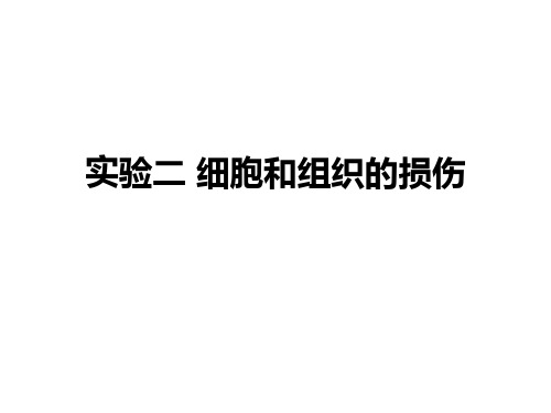 细胞和组织的损伤