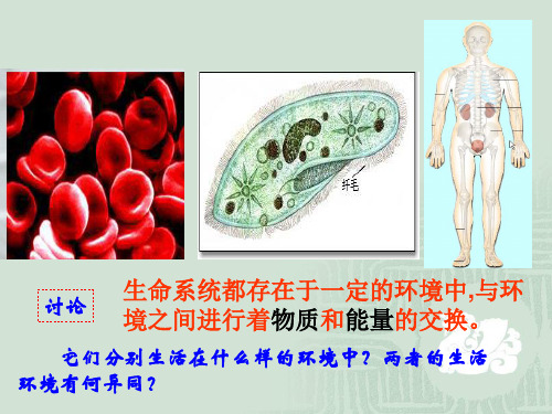 内环境与稳态专题课件