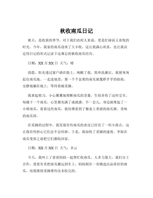 秋收南瓜日记