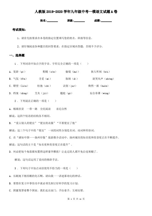 人教版2019-2020学年九年级中考一模语文试题A卷