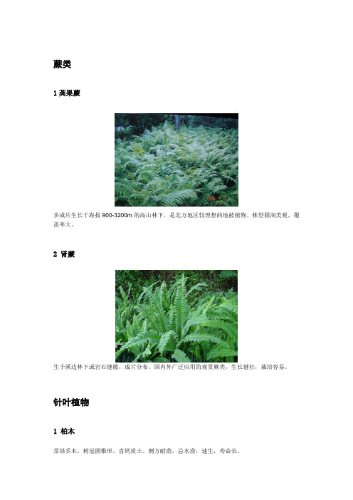 园林植物习性总结