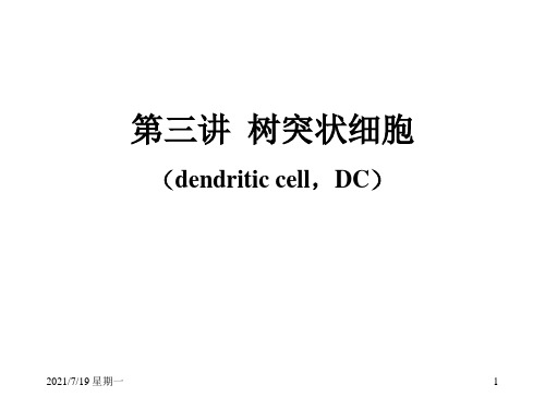 医学专题树突状细胞简介