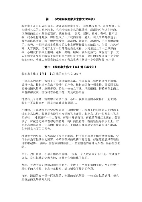 欢迎你来我的家乡作文