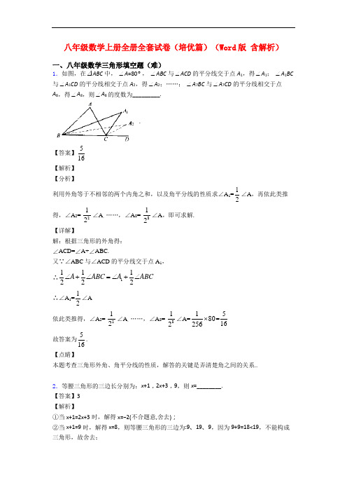 八年级数学上册全册全套试卷(培优篇)(Word版 含解析)