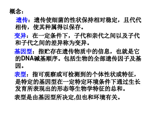第十一章_微生物遗传与变异授课_PPT幻灯片