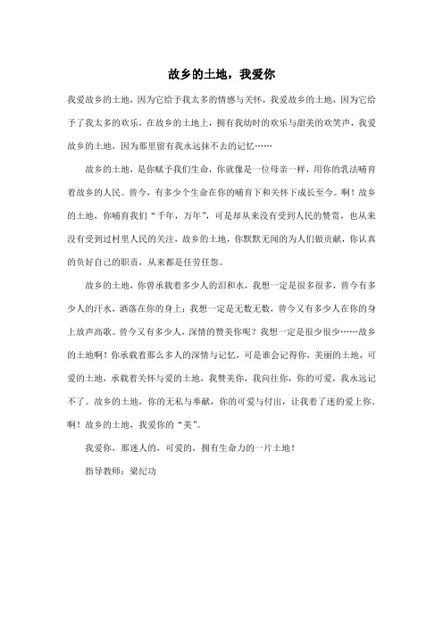 故乡的土地,我爱你_小学五年级作文500字