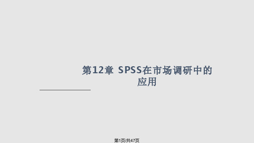 SPSS在市场调研中的应用PPT课件