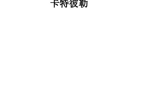 卡特彼勒ppt课件