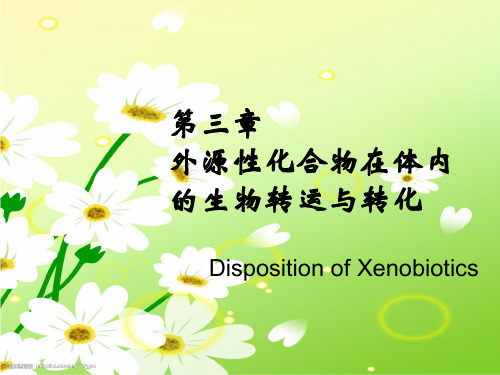 第三章 毒物的体内过程