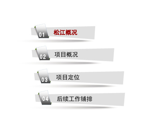 上海松江工业地块市场报告