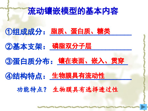 人教版高中生物必修一4.3物质跨膜运输的方式(共24张PPT)