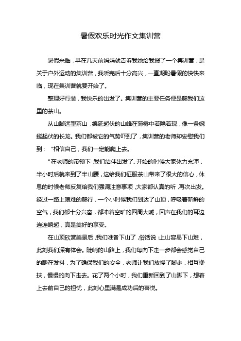 暑假欢乐时光作文集训营