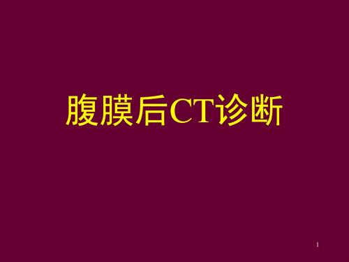 腹膜后CTPPT精选课件