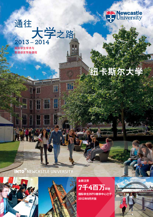 纽卡斯尔大学