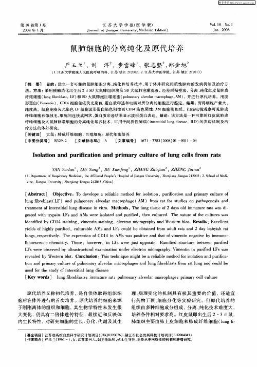 鼠肺细胞的分离纯化及原代培养