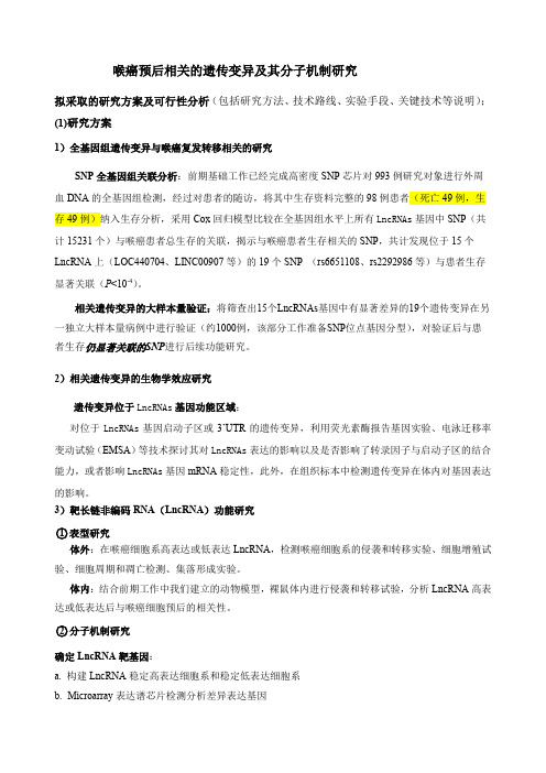 lncRNA功能实验